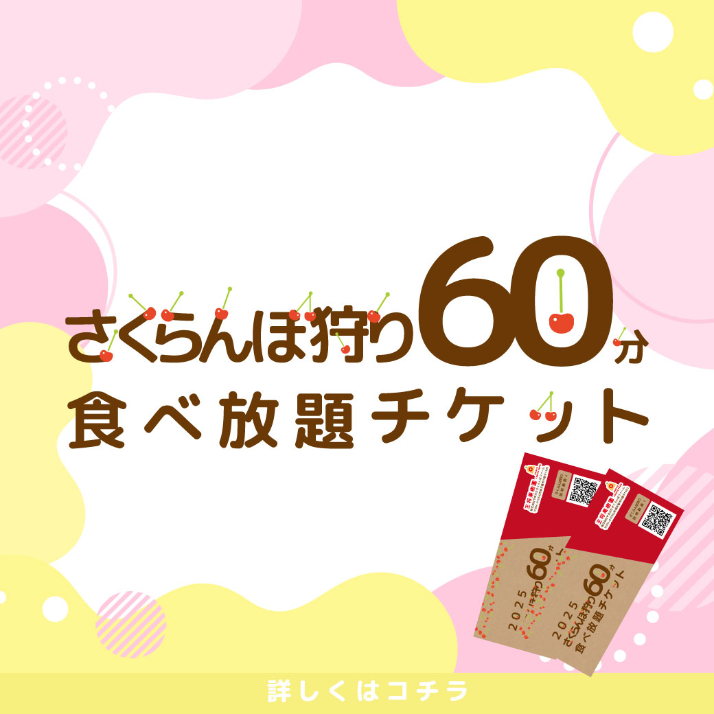 さくらんぼ狩り 60分 前売り券 | 王将果樹園