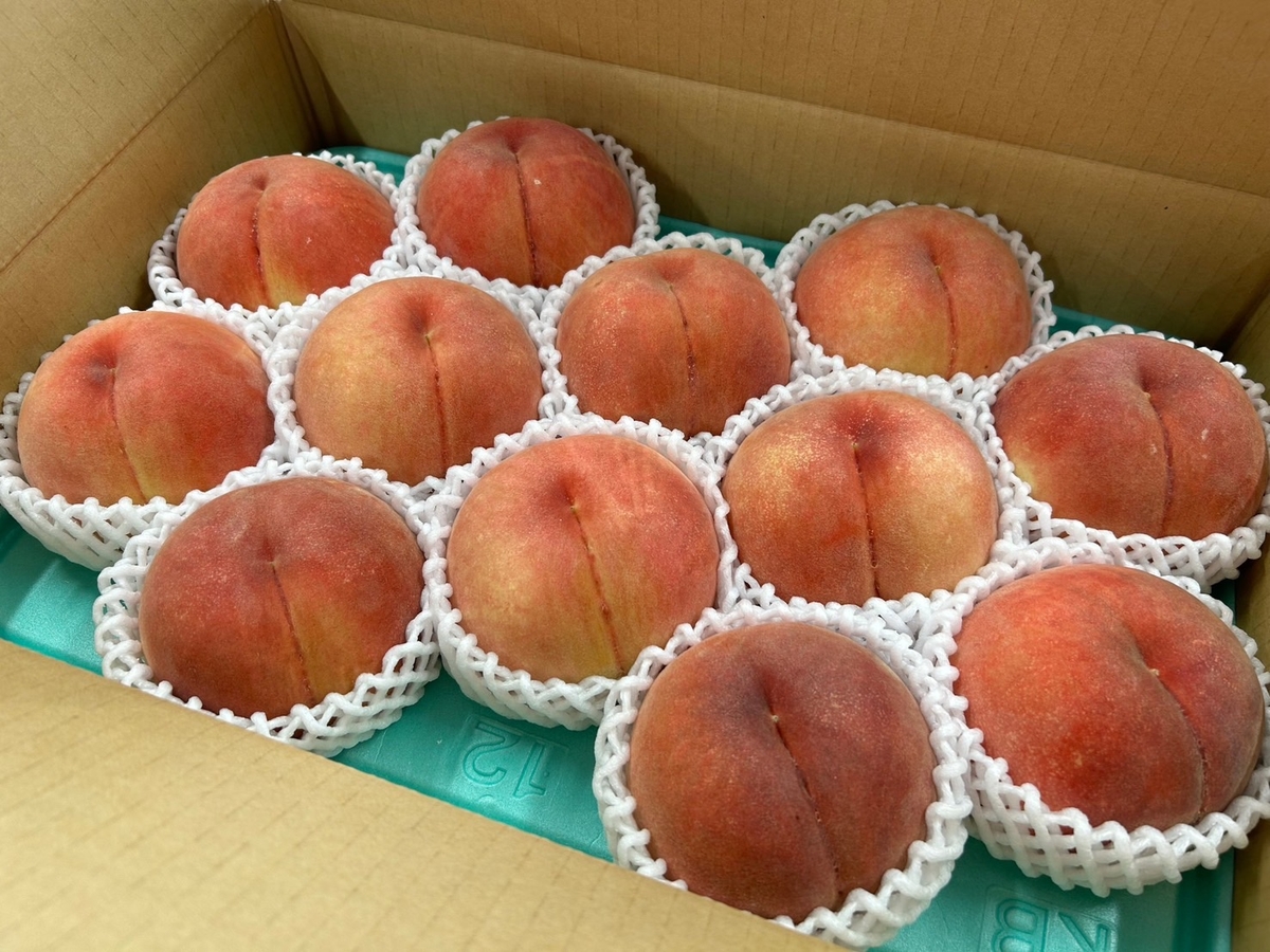 M-5 川中島白桃 約5kg | 王将果樹園