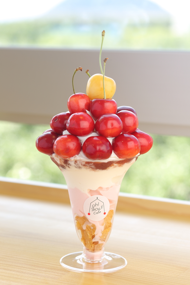 書籍］さくらんぼ社長の経営革命: 入園者ゼロになった観光農園の売上を