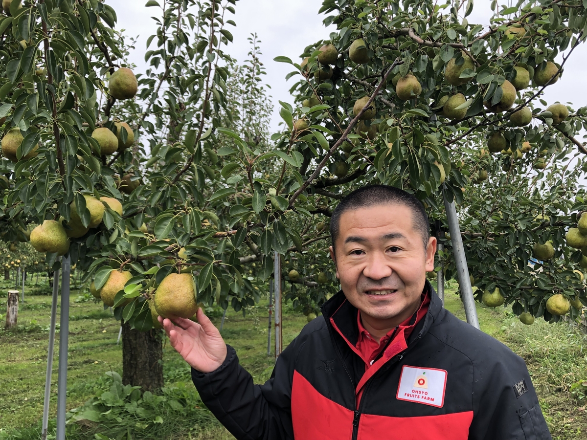 L-4N ご贈答ラ・フランス 約2kg | 王将果樹園