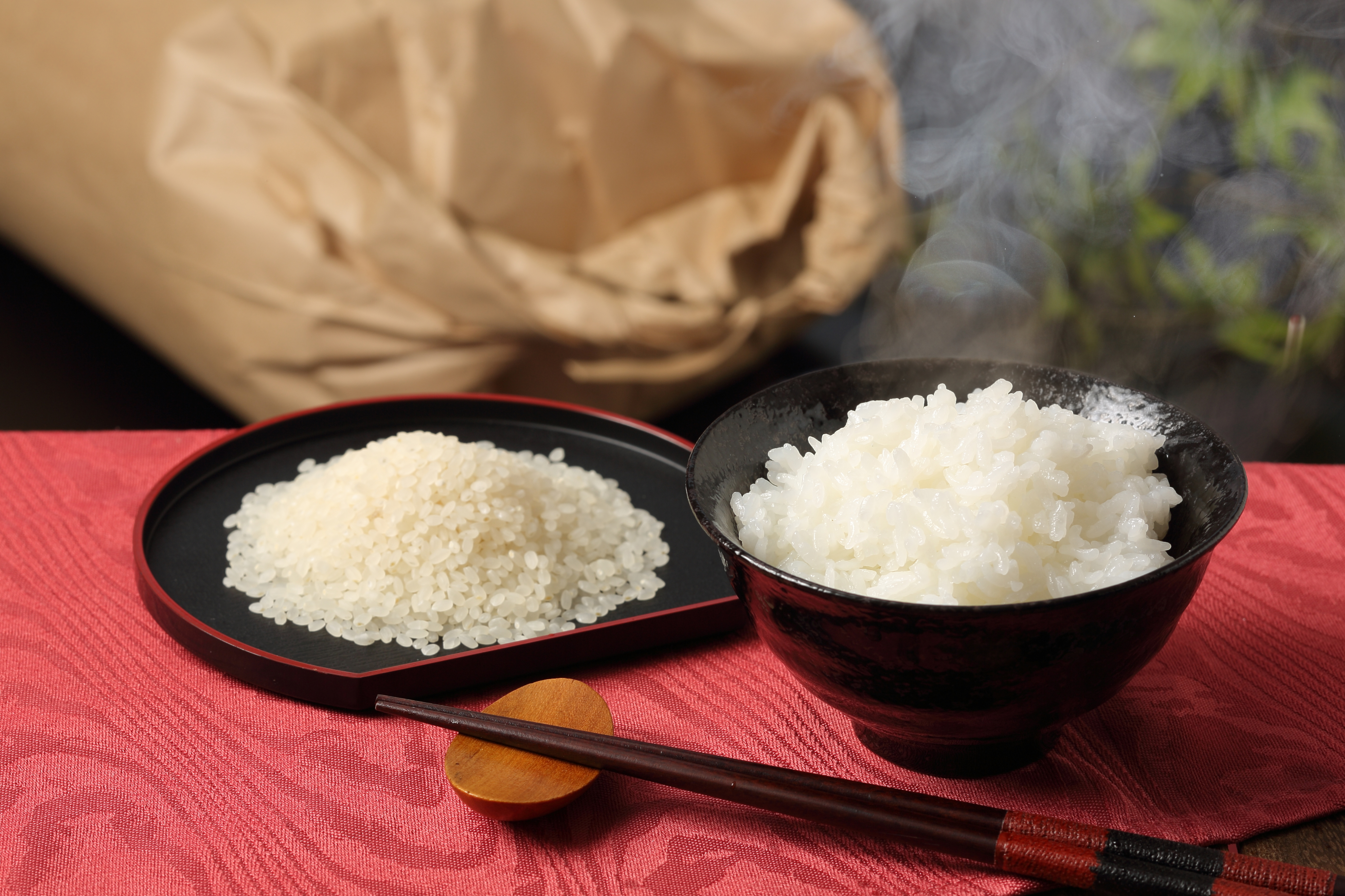 つや姫米 2025年産 10kg 米 つや姫 精米 10kg 令和7年産 2025年産 山形県産 配送時期選べる 米