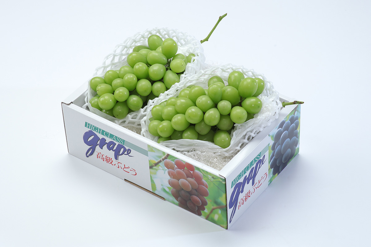PB-1 特選 シャインマスカット 約2kg | 王将果樹園