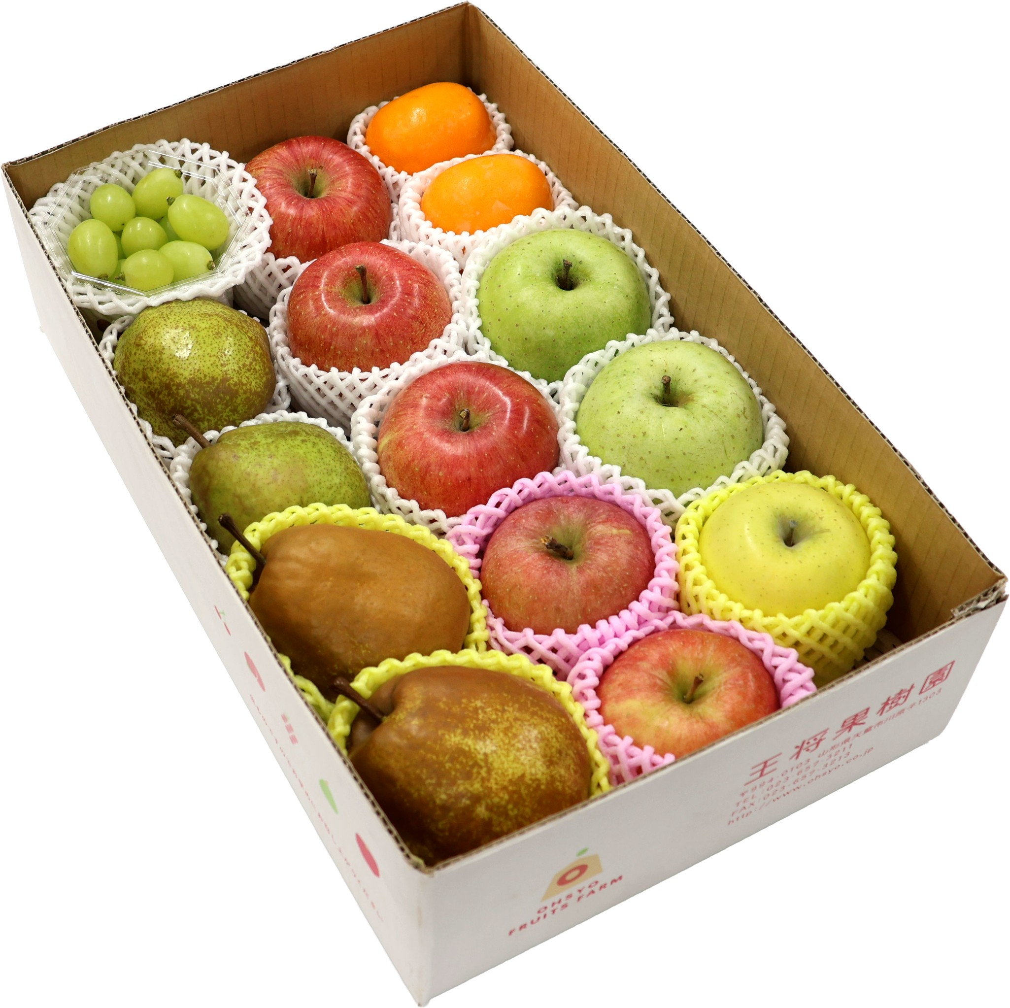 AX-11N 冬のフルーツセット約5kg | 王将果樹園