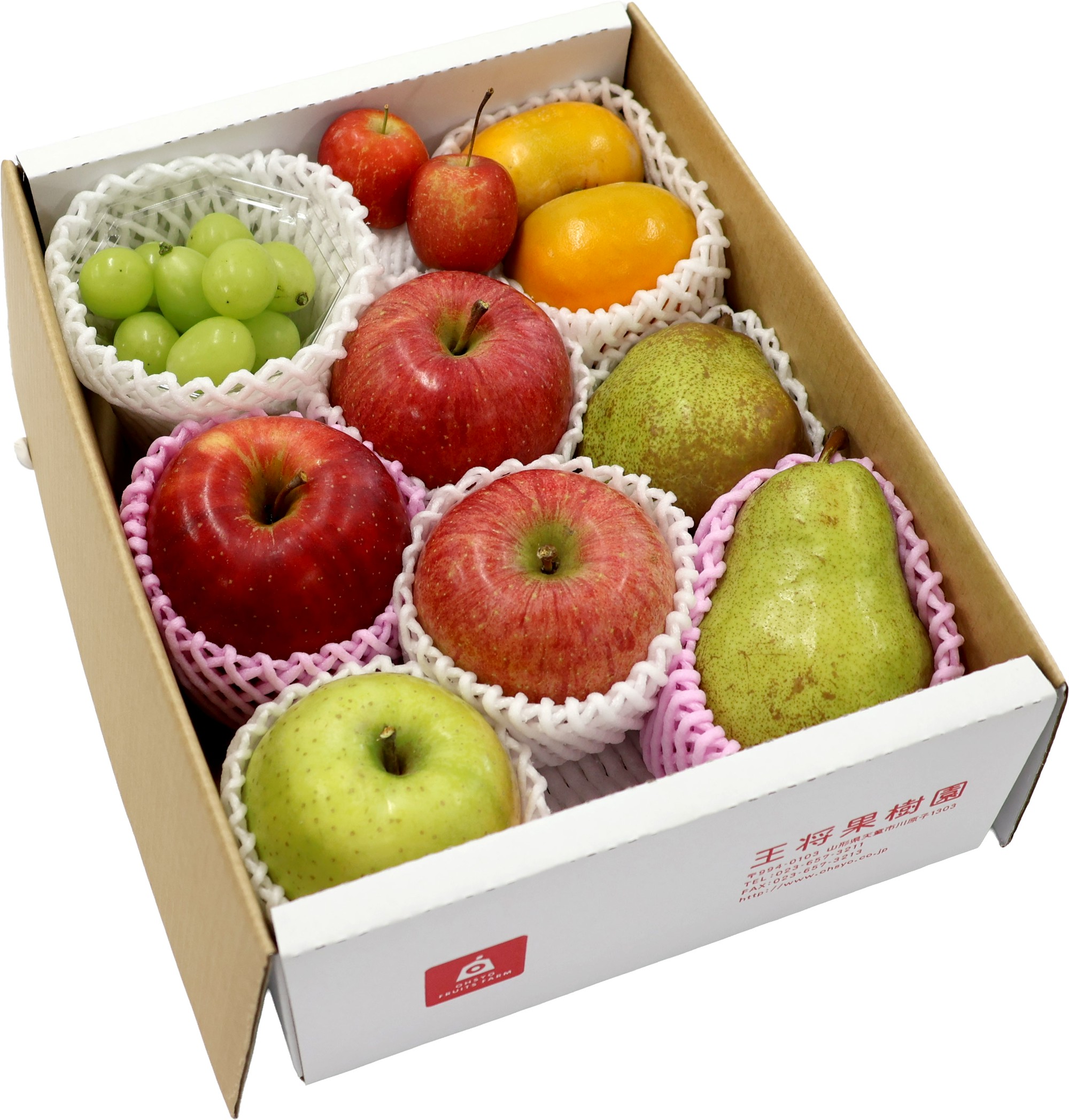 AX-10N 冬のフルーツセット約2.5kg | 王将果樹園