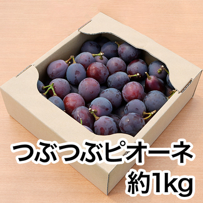 チョコ　和田果樹園の果物　10kg 梨「あきづき」約5kg（8～10玉入）【松崎果樹園】 - 宮城県角田