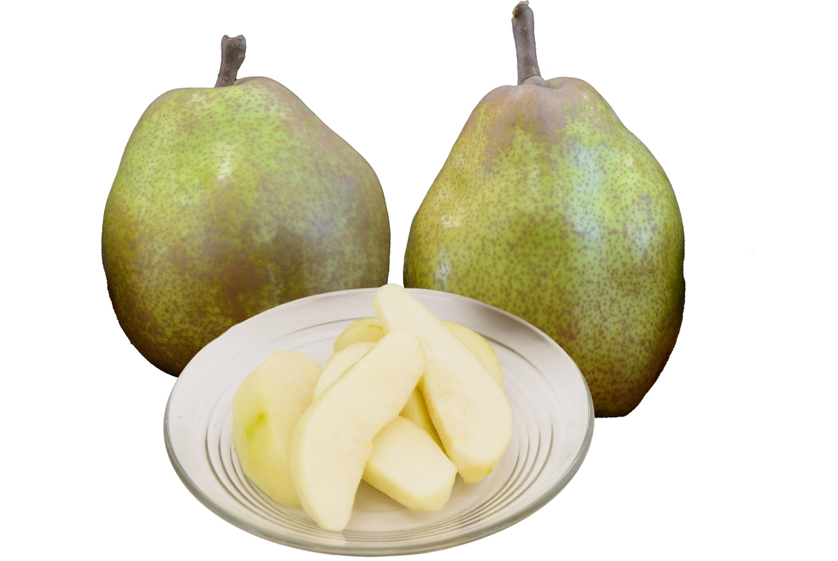 AX-11N 冬のフルーツセット約5kg | 王将果樹園