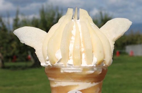 西洋梨 | 王将果樹園