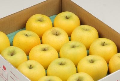 SR-3 シナノ・ゴールド雪国りんご 約10kg