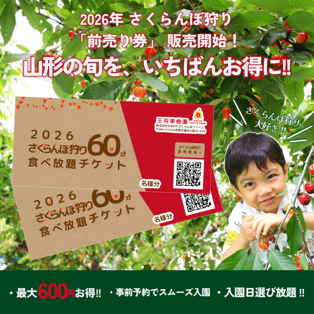 さくらんぼ狩り 60分 前売り券 2026 | 王将果樹園