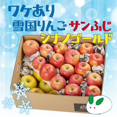 ２種のワケあり雪国りんご ８kg