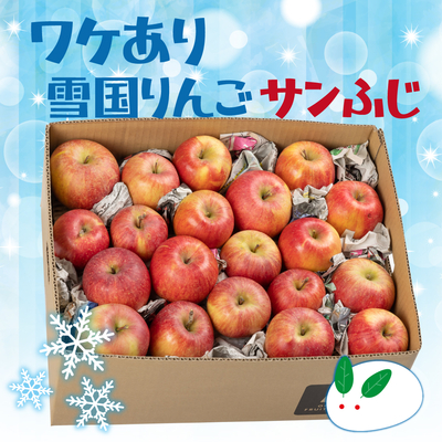 サンふじのワケあり雪国りんご ８kg