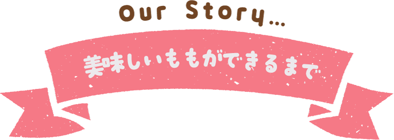 美味しい桃ができるまで