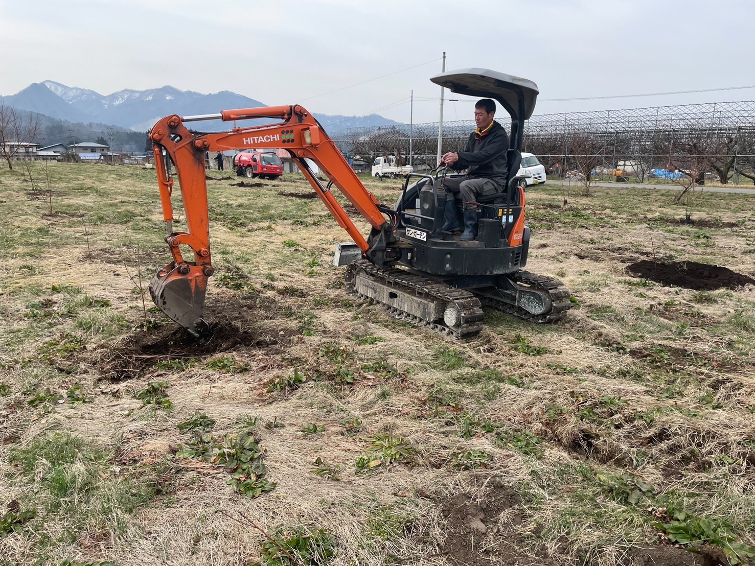 苗木の植え付け