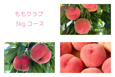 ももクラブ　3kgコース