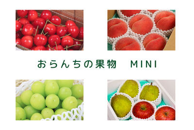 おらんちの果物ミニ