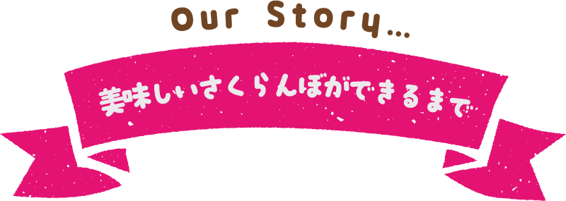 美味しいさくらんぼができるまで