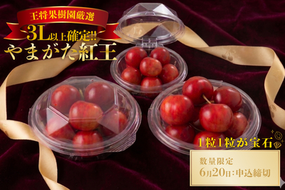 3Lｻｲｽﾞ以上のやまがた紅王 ﾀﾞｲﾔﾊﾟｯｸ