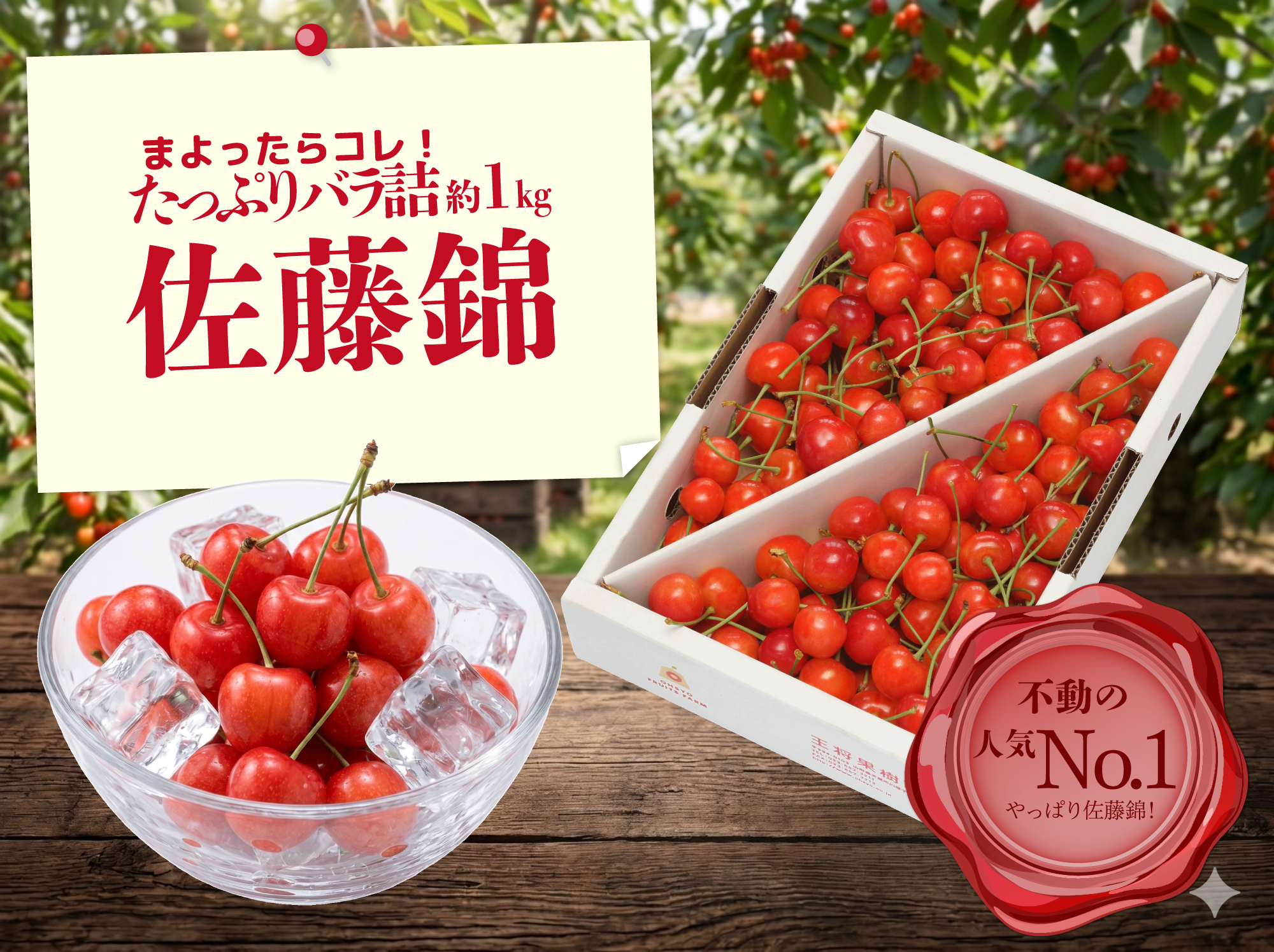 たっぷりバラ詰」佐藤錦 約1kg | 王将果樹園