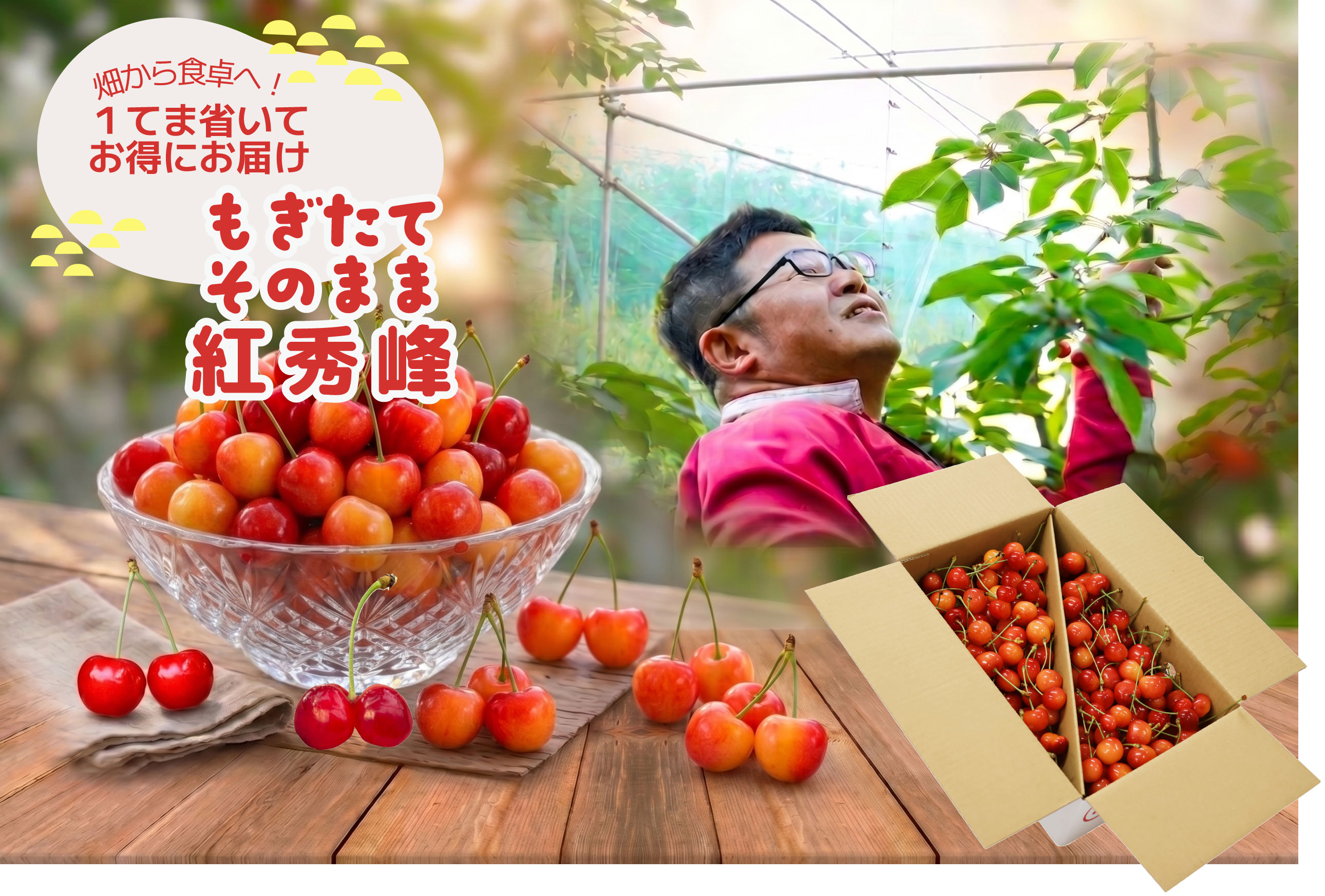 もぎたて紅秀峰