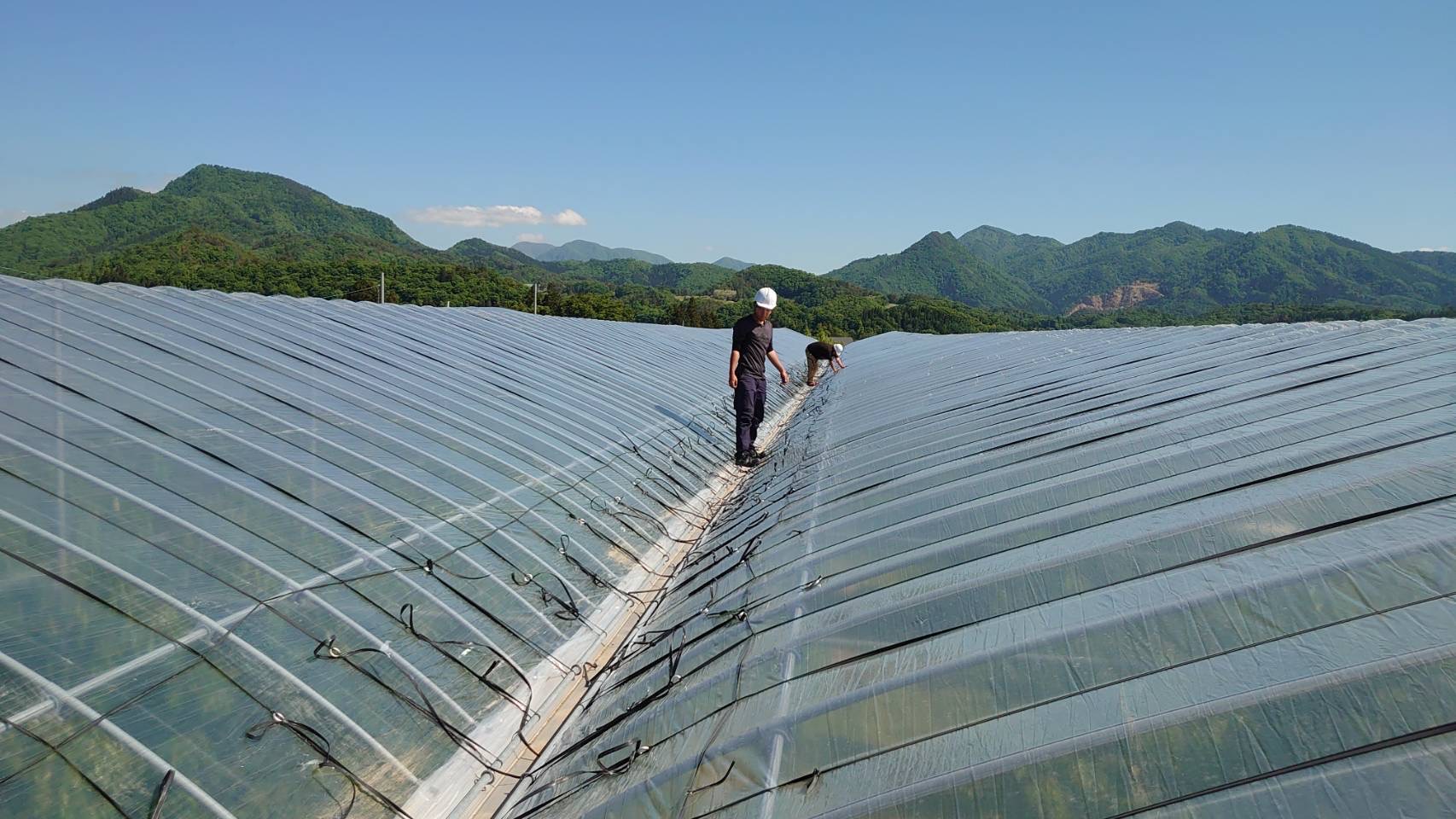 盆地特有の寒暖差と栽培技術