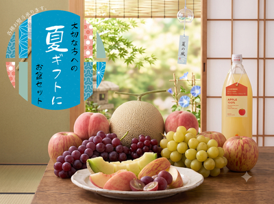 NX-4 お盆セット