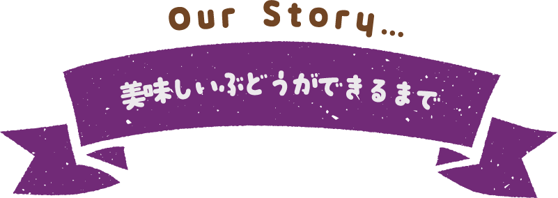 美味しい大粒ぶどうができるまで