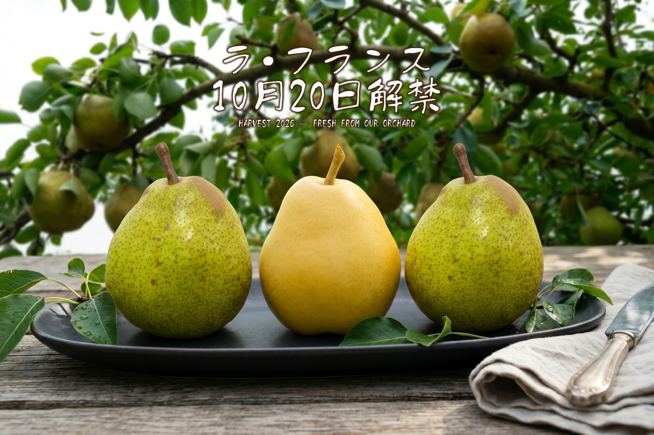 ラ・フランス商品一覧