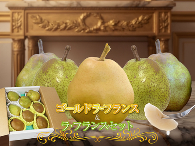 LGL-1 ｺﾞｰﾙﾄﾞﾗ･ﾌﾗﾝｽ&ﾗ･ﾌﾗﾝｽｾｯﾄ 2kg