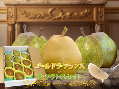 LGL-2 ｺﾞｰﾙﾄﾞﾗ･ﾌﾗﾝｽ&ﾗ･ﾌﾗﾝｽｾｯﾄ3kg