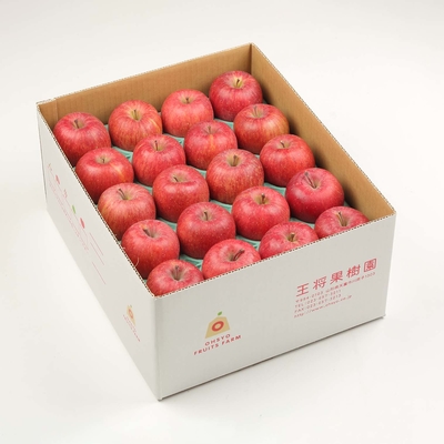 SF-5 小玉サンふじ 約10kg【特価セール】