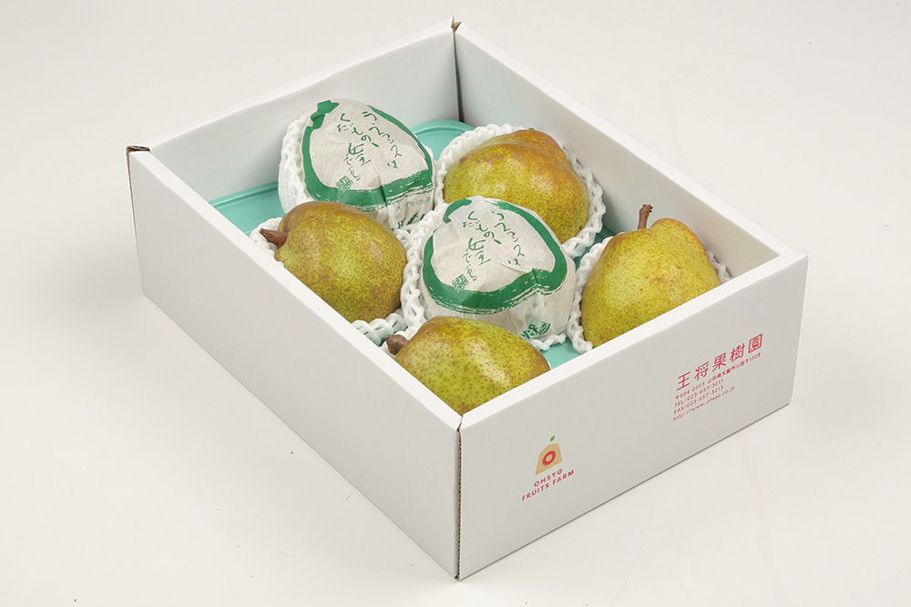 les Queues de Sardines 2024 目玉タイツ フランス ピンク les Queues