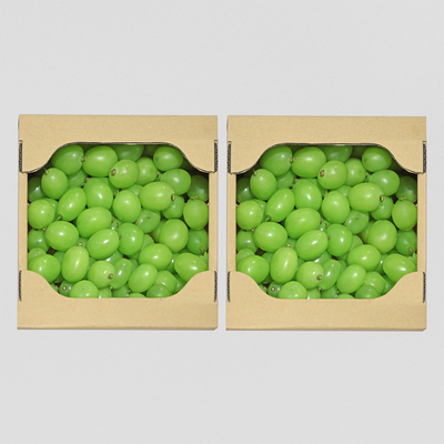 チョコ　和田果樹園の果物　10kg 和田果樹園