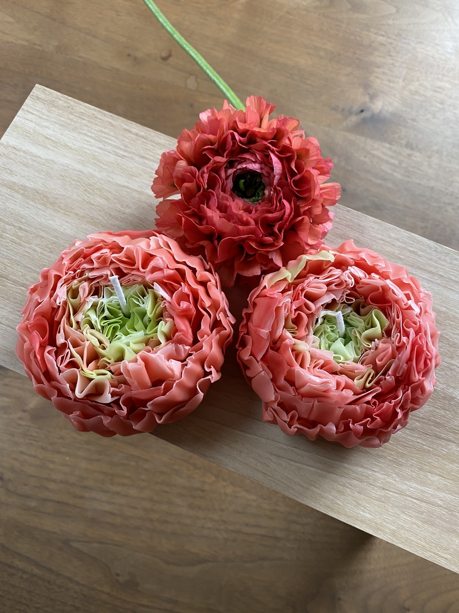 Set ポンポンラナンとキャンドルセット コーラルピンク 青木園芸ネットショップ