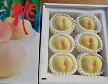 ★ ⑬おかやま夢白桃5～6玉入り（2kg箱）※収穫時期に合わせて順次発送いたします