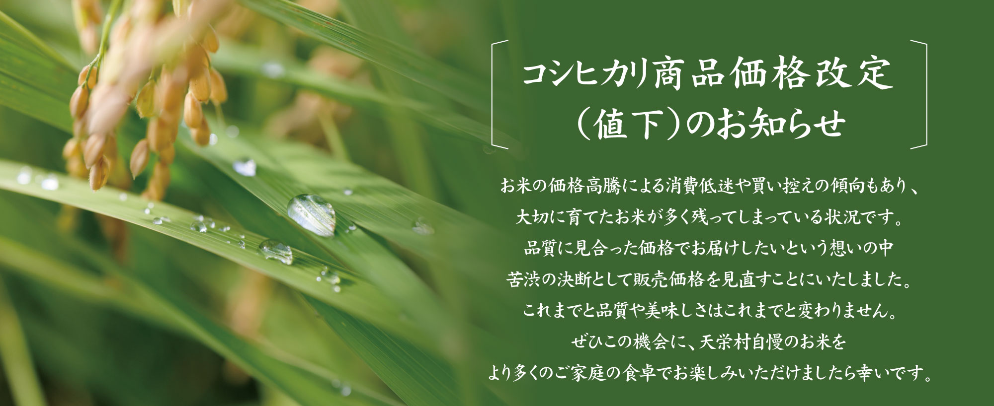 こだわり｜生産｜お取り寄せ｜ギフト｜贈り物｜純米酒｜日本酒｜お米｜白米｜天栄米｜コシヒカリ｜ご褒美