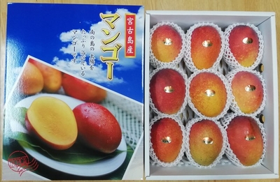 【A004】完熟マンゴー贈答用箱入り　9～10個（約4kg）