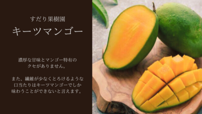 キーツマンゴー【２．５ｋｇ】贈答用箱入り（３個）