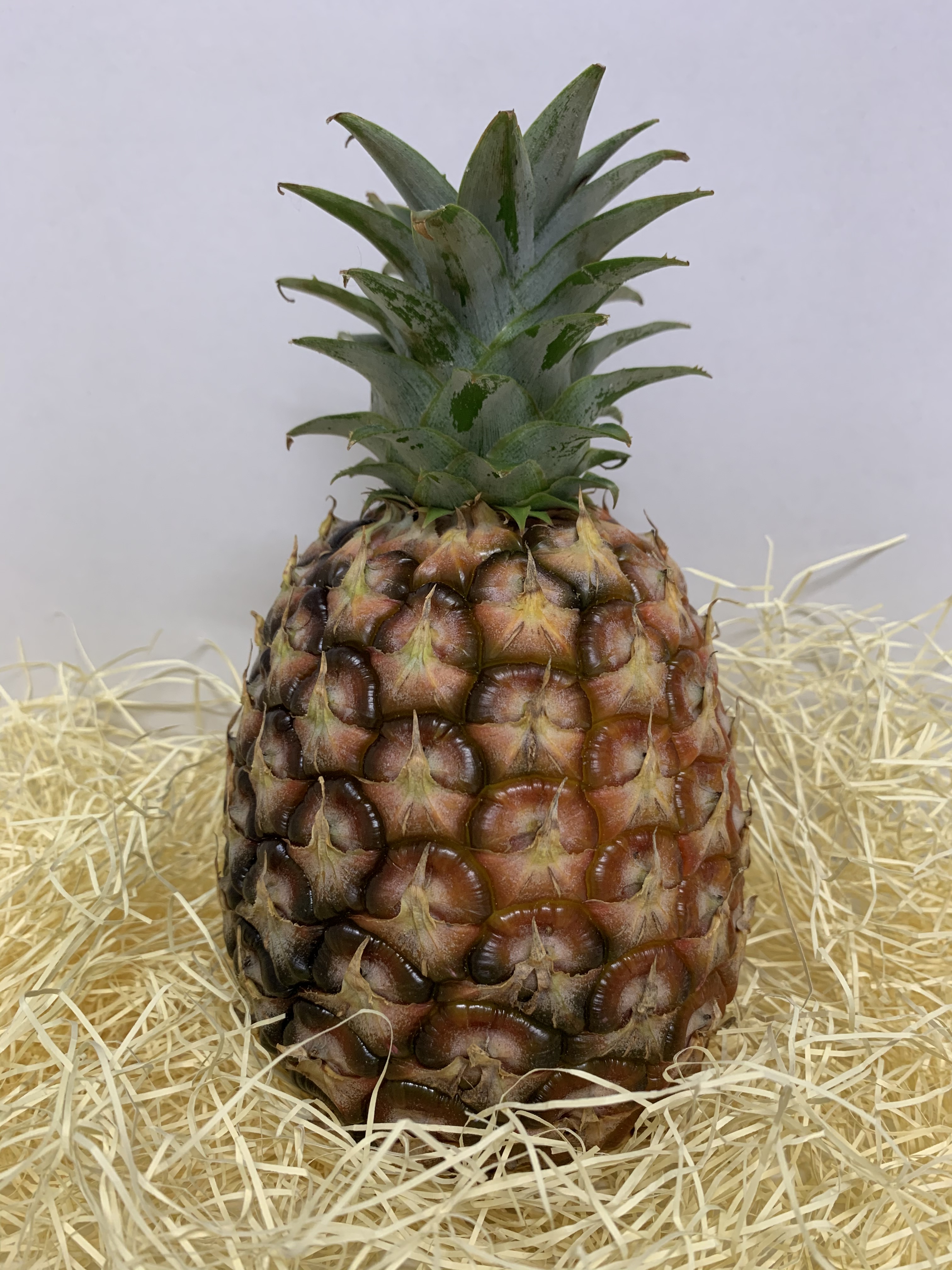 ピーチパイン2kg（2～4玉） 全国どこでも送料無料 | 西表島フルーツ