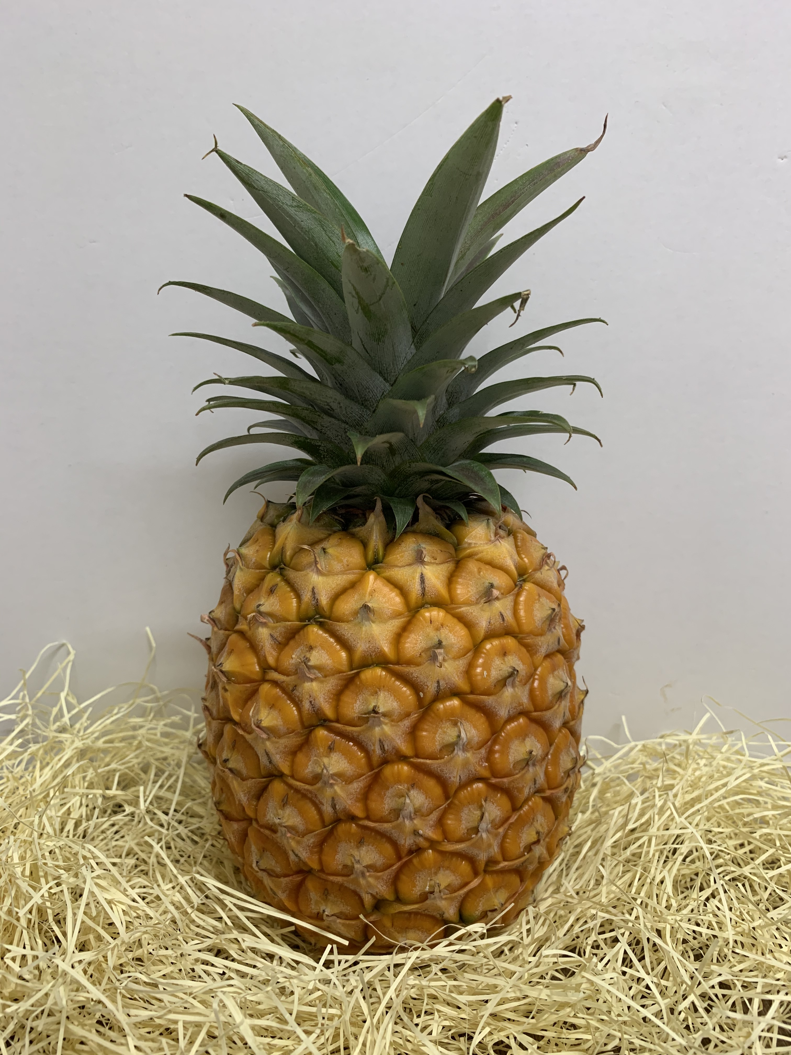 島パイン6kg（5～10玉）全国どこでも送料無料 | 西表島フルーツ