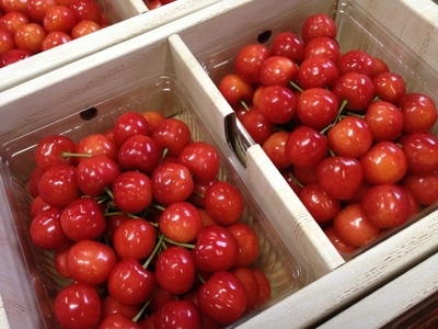 ご自宅用やご贈答におすすめ！　さくらんぼ紅秀峰　バラ詰１kg