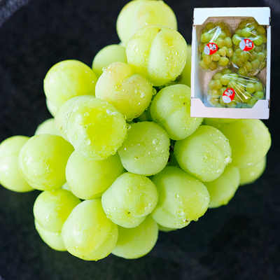 【送料無料】桃太郎ぶどう約2kg（中3〜4房）9月1日-9月30日発送