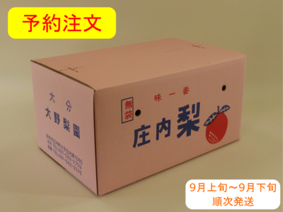 あきづき梨　１０ｋｇ箱