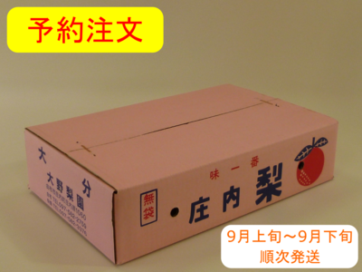 あきづき梨　５ｋｇ箱
