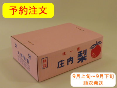 あきづき梨　３ｋｇ箱
