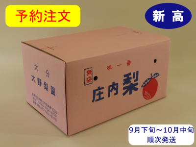 新高梨　１０ｋｇ箱
