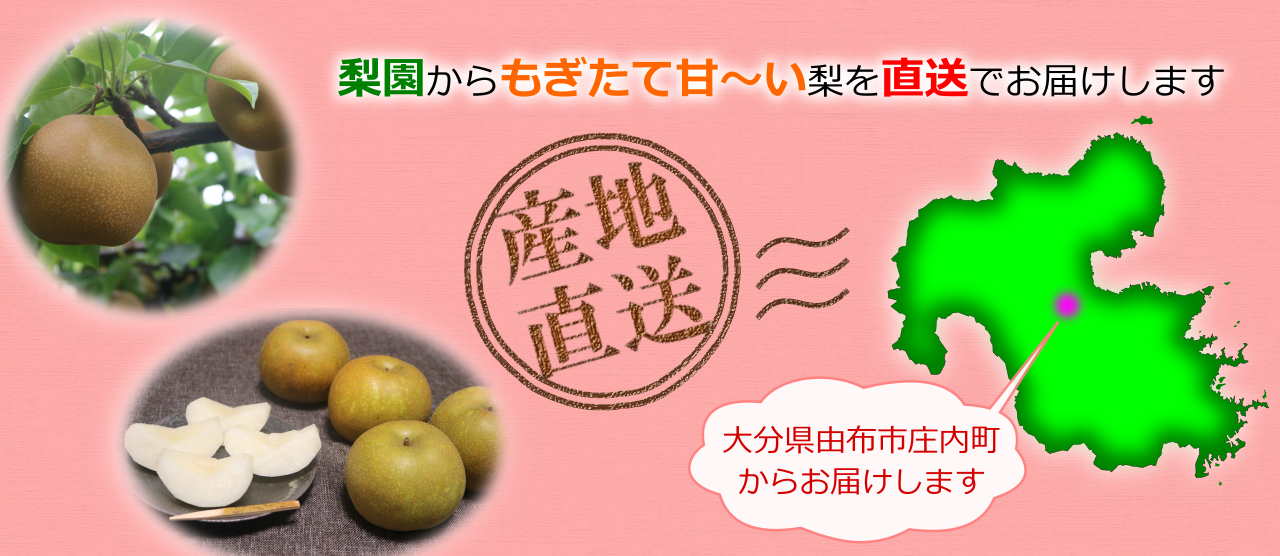 梨嬉ページ 楽天市場】梨（総個数9 ～ 11個入り）（食品）の通販