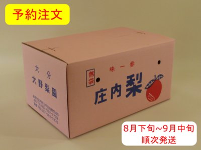 豊水梨　１０ｋｇ箱