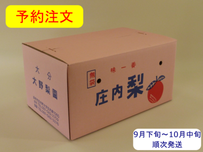 新高梨　１０ｋｇ箱