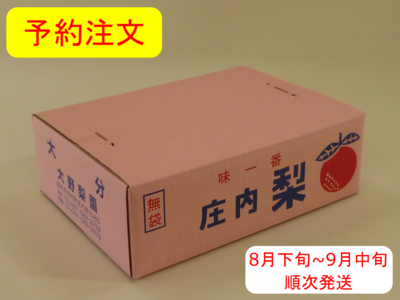 豊水梨　３ｋｇ箱