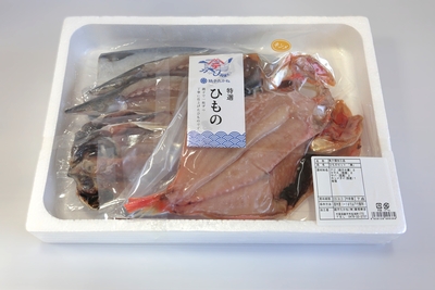 ひものセット「湊」